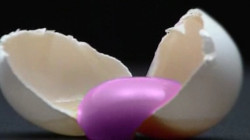 TRICK（第２シリーズ）卵の黄身は紫